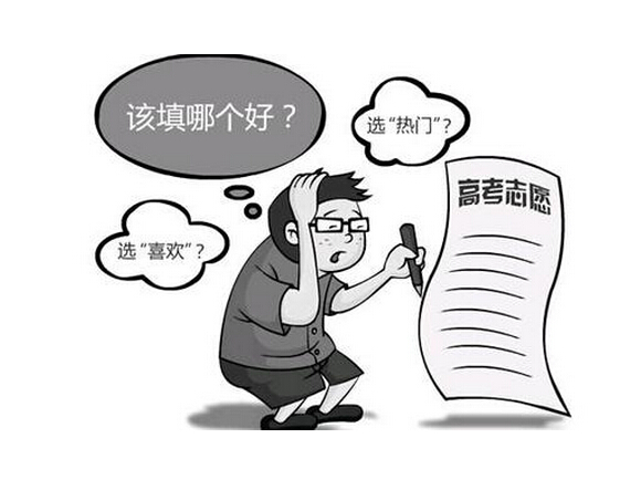志愿填报