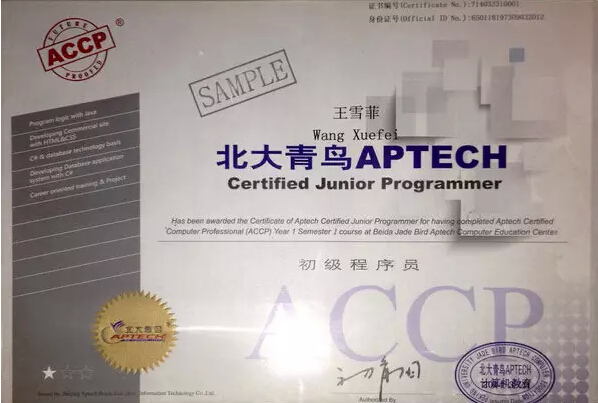 初级程序员认证