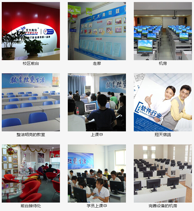 北大青鸟-郑州翔天信鸽学校环境
